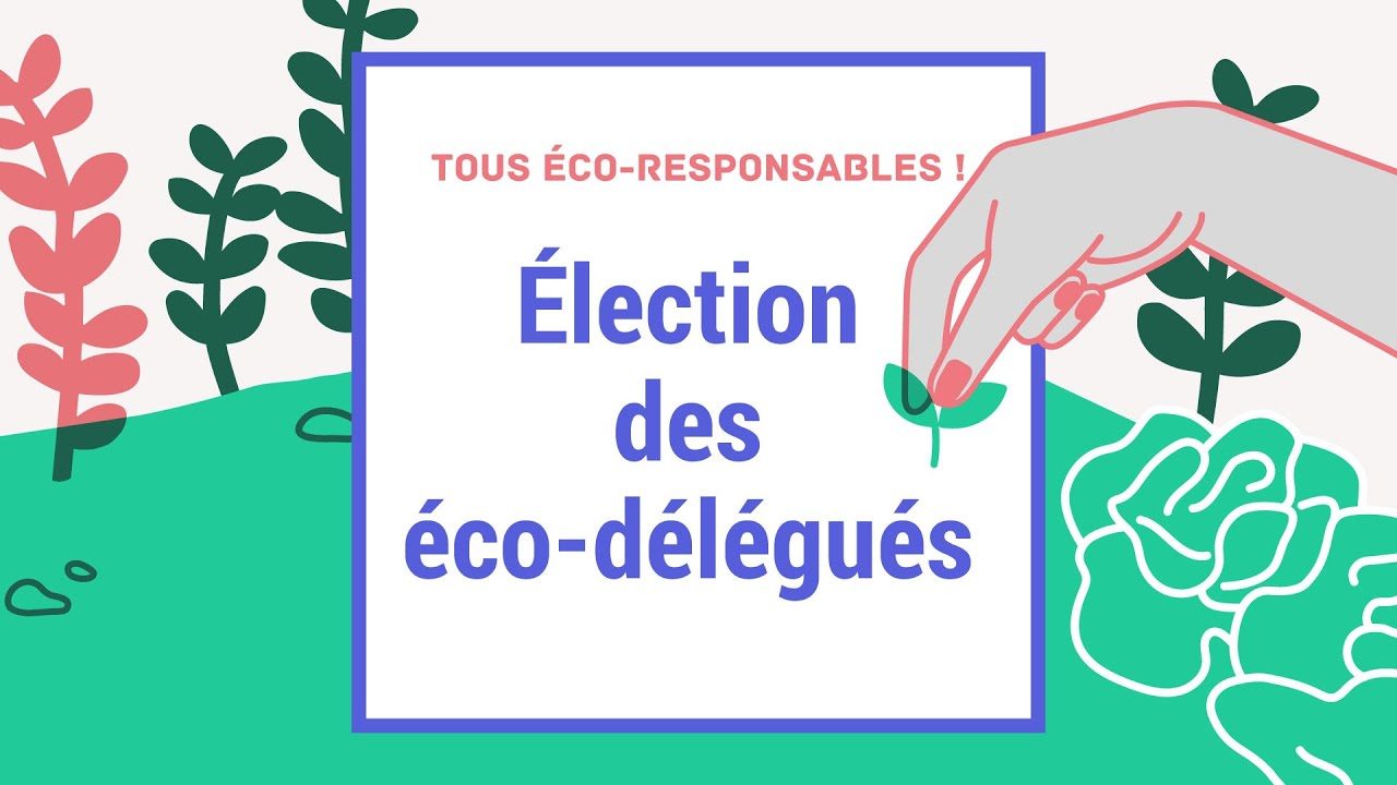 élection des éco-délégués 2021/2022