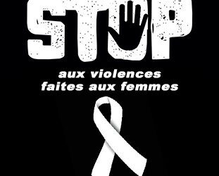 Journée de lutte contre les violences faites aux femmes