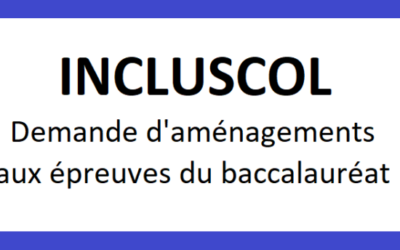 Demande d’aménagements d’épreuves pour le DNB ou le CFG session 2025 (élèves de 3ème) ET session 2026 (élèves de 4ème)