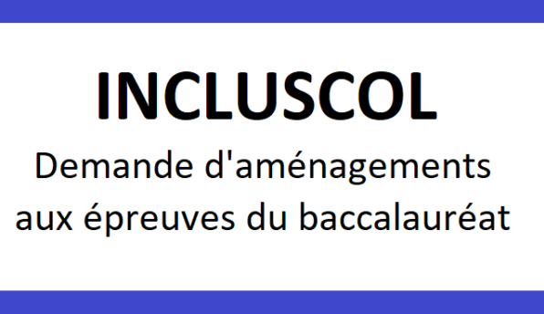 Demande d’aménagements d’épreuves pour le DNB ou le CFG session 2025 (élèves de 3ème) ET session 2026 (élèves de 4ème)